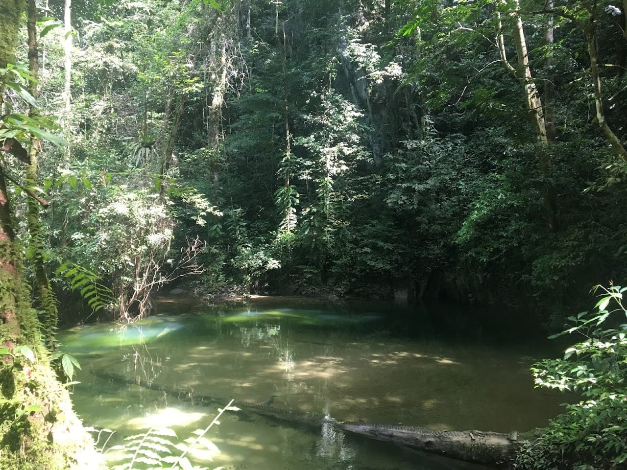 Clear Water Cave team building