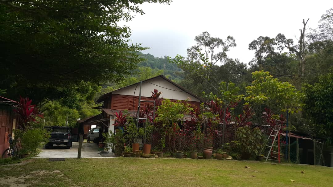Gopeng Rainforest Resort team building