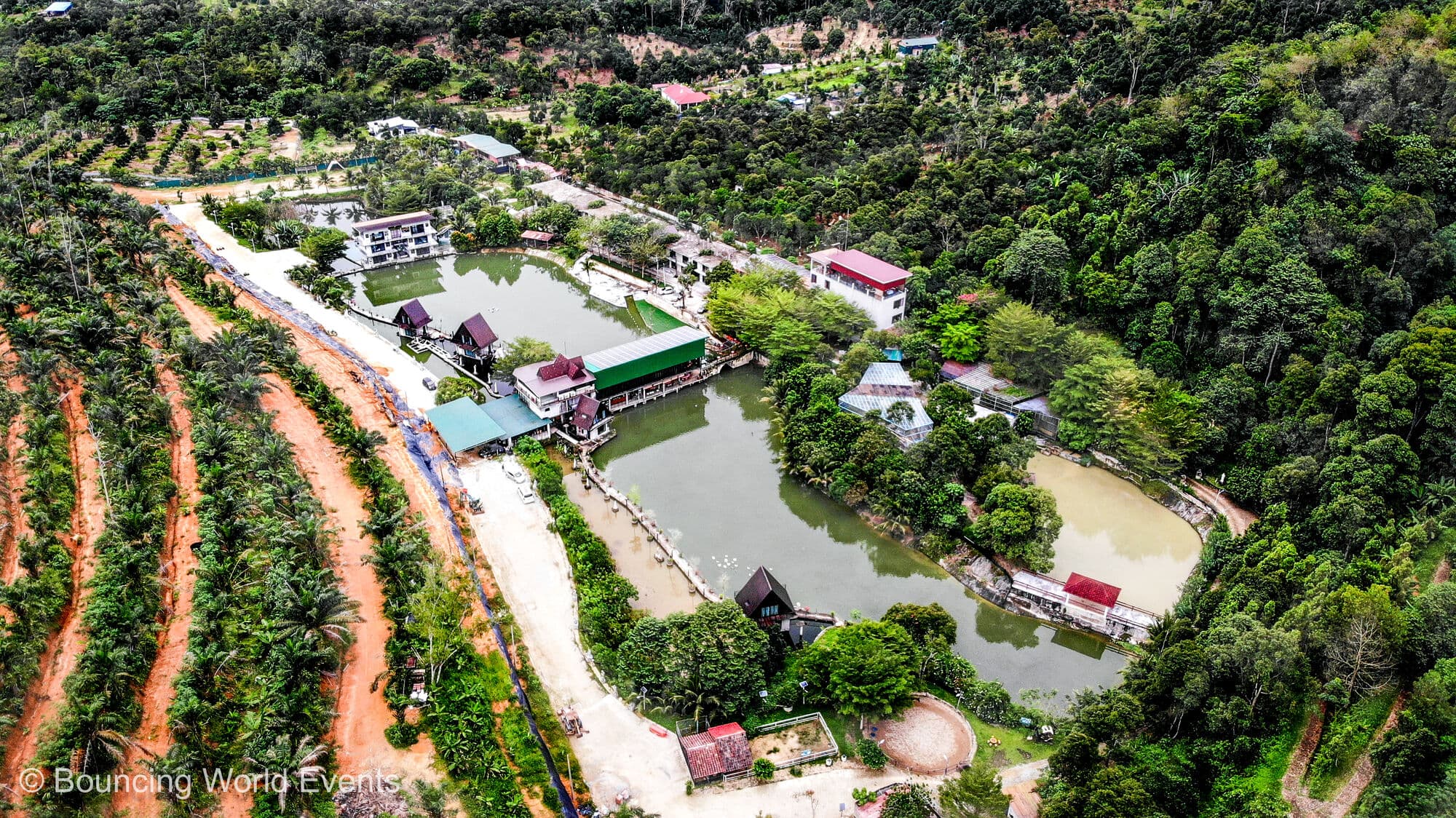 Mantin Forest Art Farmstay team building