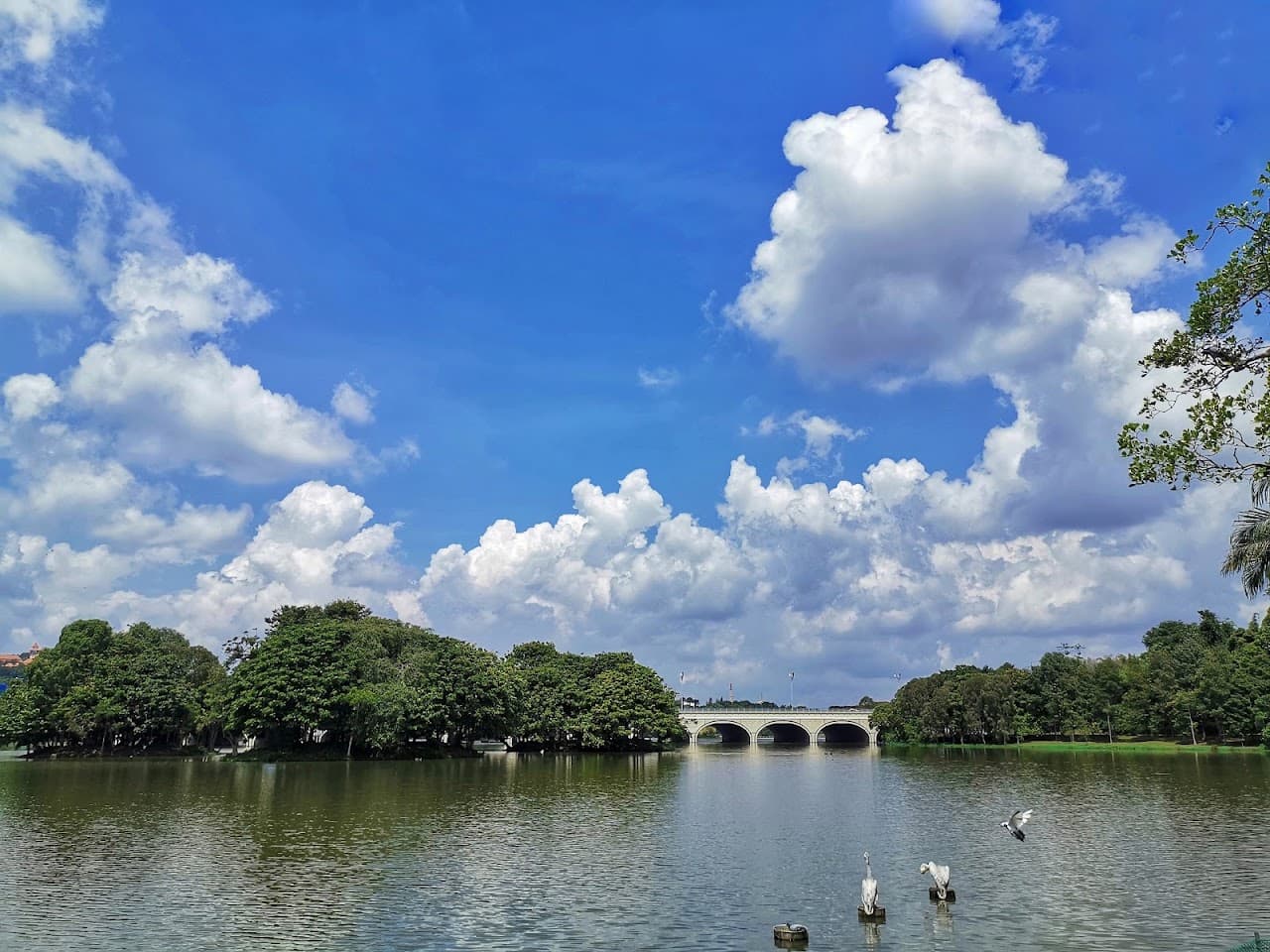 Putrajaya Wetlands Park team building