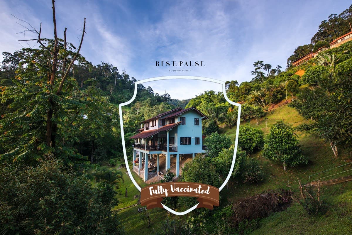 Rest. Pause. Rainforest Retreat team building