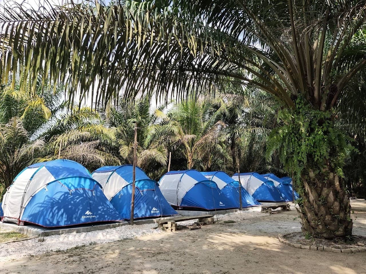 REX CAMP SITE PERAK | TAPAK PERKHEMAHAN & REKREASI GOPENG team building