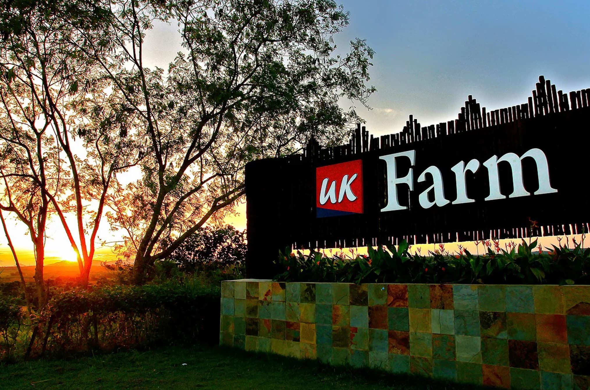 UK Farm Agro Resort team building