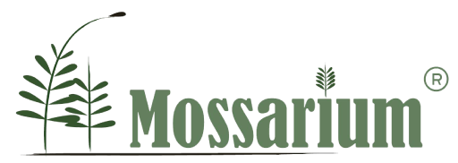 Mossarium logo
